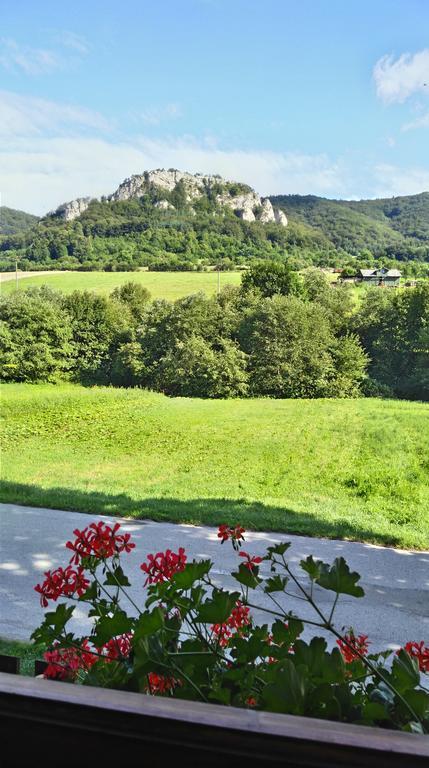 Penzión Manín Považská Bystrica Exterior foto